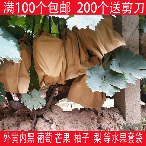 露天葡萄专用套袋加厚纸袋梨袋子巨峰外黄内黑防雨防病白色防虫袋