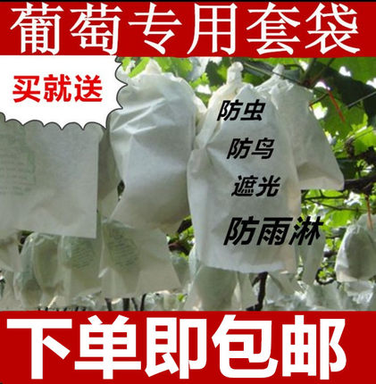 葡萄套袋半透明葡萄袋专用育果袋葡萄袋子防水防虫阳光玫瑰套袋