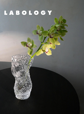 LABOLOGY新品｜Hein Studio丹麦透明玻璃花瓶 小众艺术风格花器