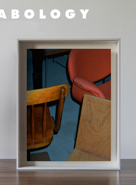 LABOLOGY新品｜谢云妮静物摄影作品 限版 铝合金装裱挂画客厅书房