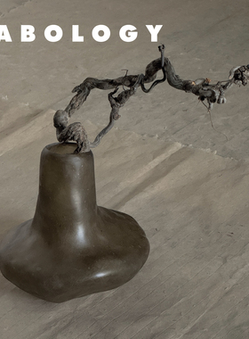 LABOLOGY新品｜kar formless无相系列花瓶异形玻璃钢花器居家礼物