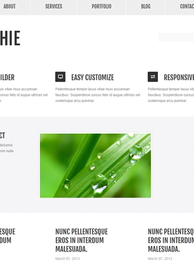 b48风景旅游公司CSS3橙色模板HTML和CSS代码网站模板无后台