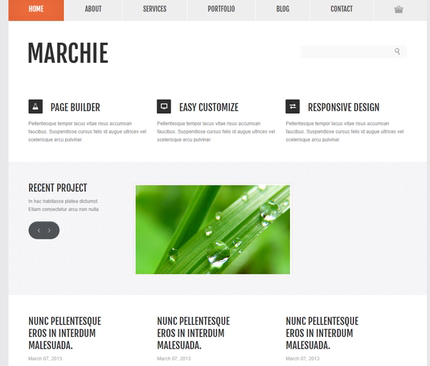 b48风景旅游公司CSS3橙色模板HTML和CSS代码网站模板无后台