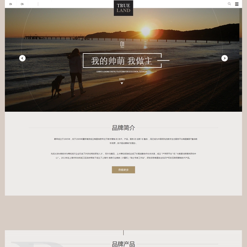 品牌企业产品公司html