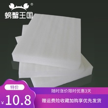 螃蟹王国diy模型手工材料发泡沫板1
