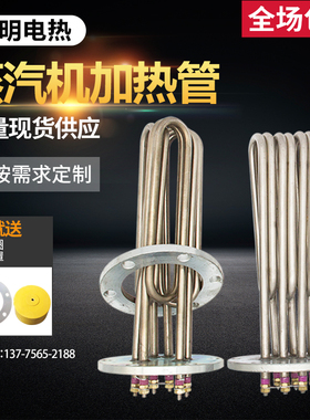 蒸烫机 蒸汽发生器140法兰 锅炉加热管 380V6/9/12/18/24/27/30Kw