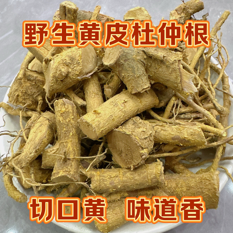 福建野生纯天然黄皮杜仲根山杜仲纯根切段杜仲根晒干包邮