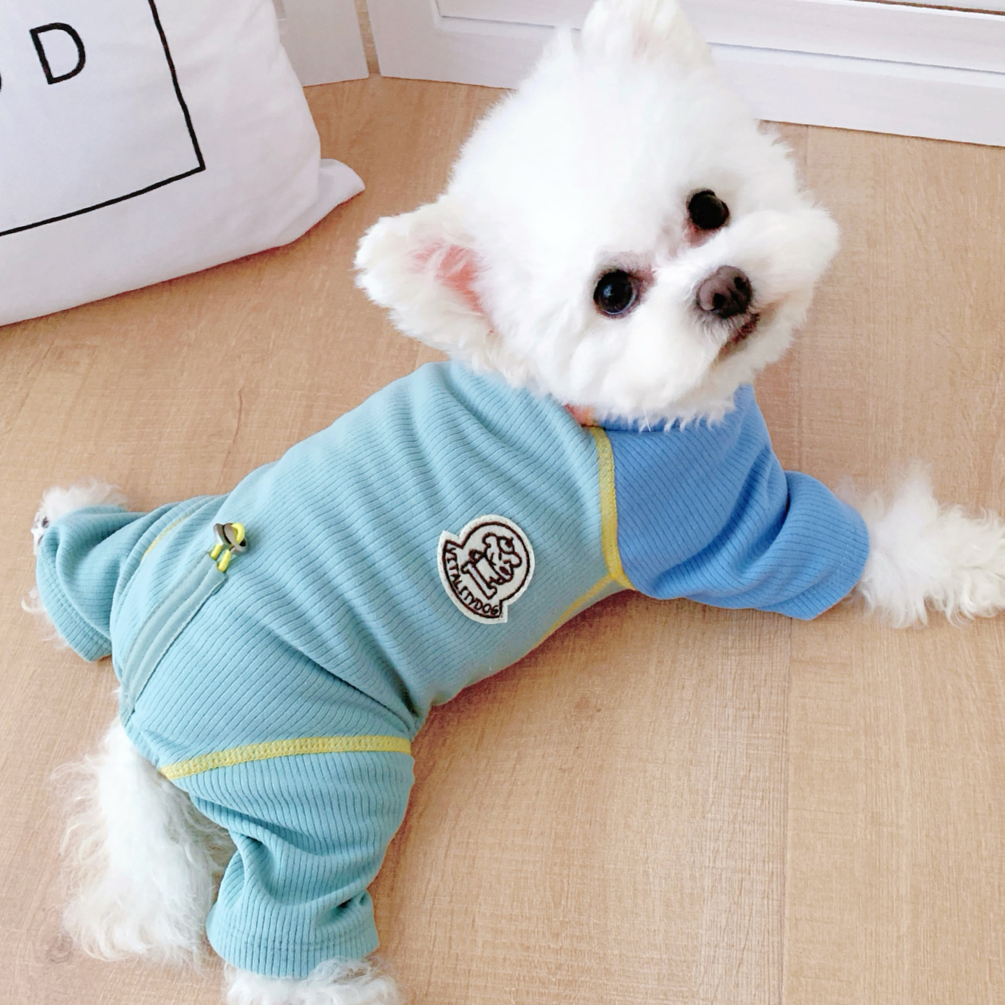 【小狗狗秋冬四脚针织打底衫】