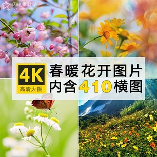 4K高清春暖花开唯美春天花海花朵绿色护眼电脑平板壁纸ps图片素材