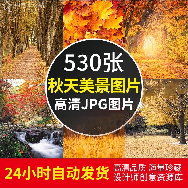 秋天美景图片落叶树林风景4K高清摄影照片电脑手机2K壁纸图片素材