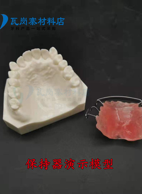 牙科口腔 保持器演示模型 白色牙齿口腔纠正教学模型3007医患沟通