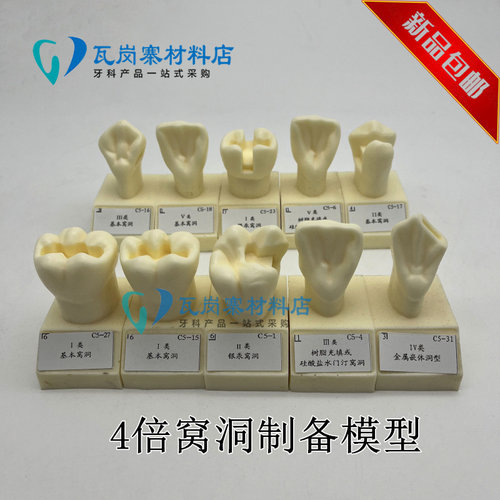牙科口腔 4倍大窝洞制备模型 四倍牙齿标准示范金属嵌体洞型 包邮