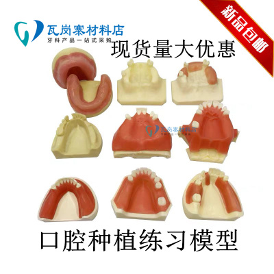 牙科口腔模型 牙齿种植练习上颌窦提升术练习模型 软牙龈练习切开