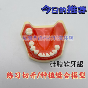 牙科 上颌窦下颌种植练习模型防骨质 切开缝合种植练习 模型