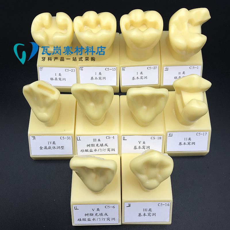 牙科口腔4倍大嵌体窝洞制备牙体示范模型 牙体预备标准指导 10颗