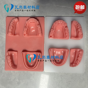 口腔缝合练习模型医学生用缝针仿真牙科模块切开训练软硅胶仿牙龈