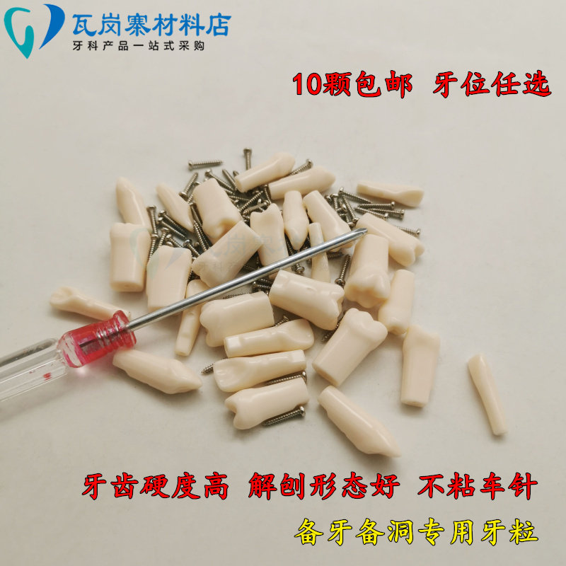 牙医考试备牙练习牙齿牙科树脂仿真牙粒树脂散牙齿口腔离体牙备牙