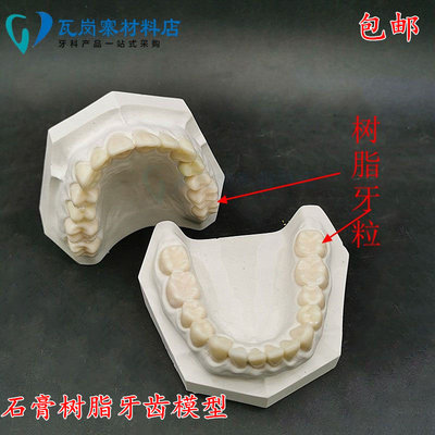 牙科 全口28颗备牙模具 窝洞制备 石膏树脂牙齿模型 齿科教学包邮