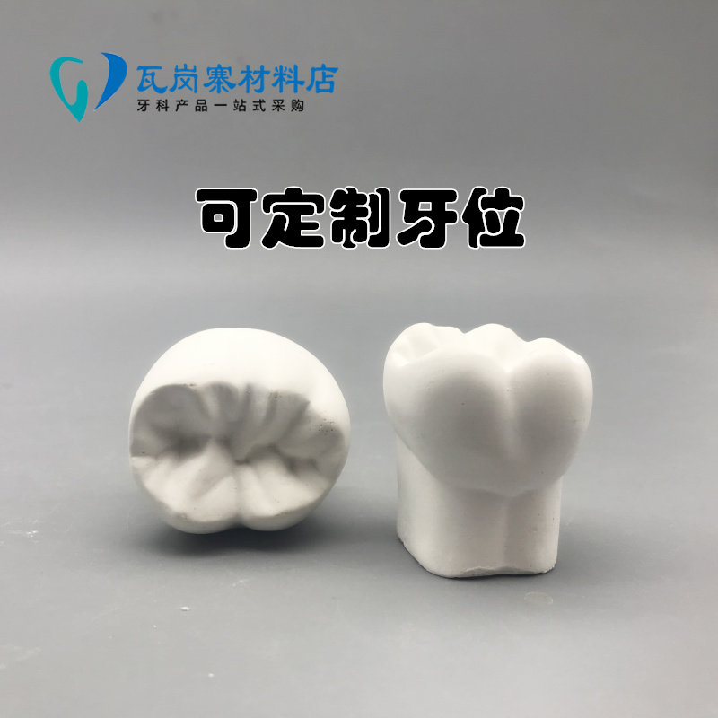 口腔科学生学习认识牙齿形态 3倍石膏牙模型 雕牙指导 牙齿解剖