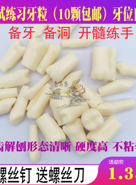 牙科口腔材料 仿真人牙齿模型  练习备牙树脂离体牙齿 散仿真牙粒