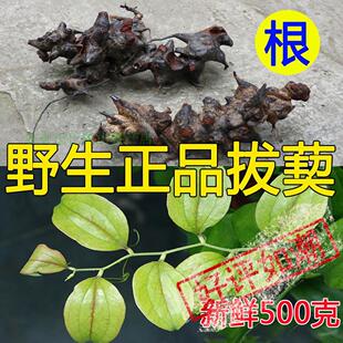 2024深山新鲜正宗泡酒农产品拔葜 金刚藤刺500克5斤包邮真品直销