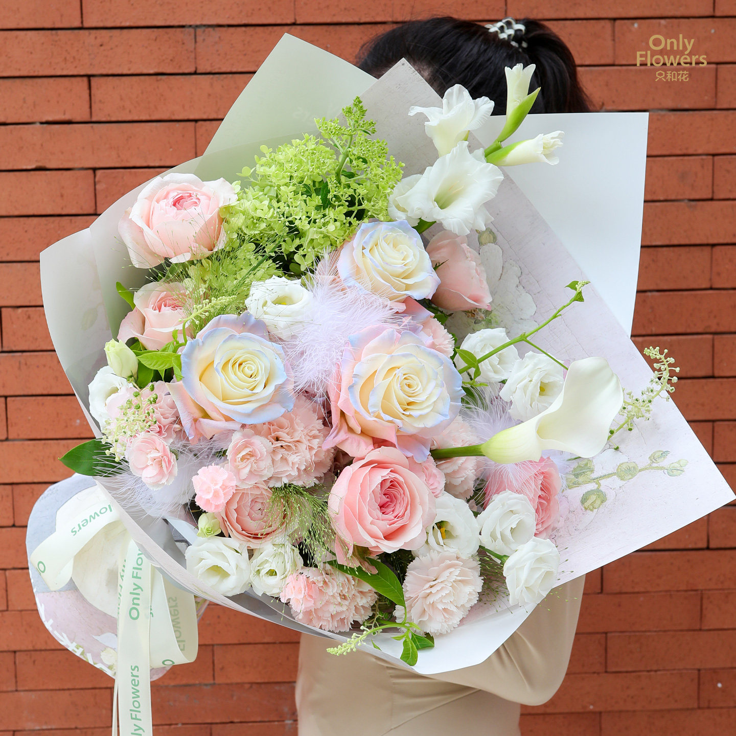 【春日来信】高级感欧若拉进口玫瑰花束 莫里斯自然风生日纪念日
