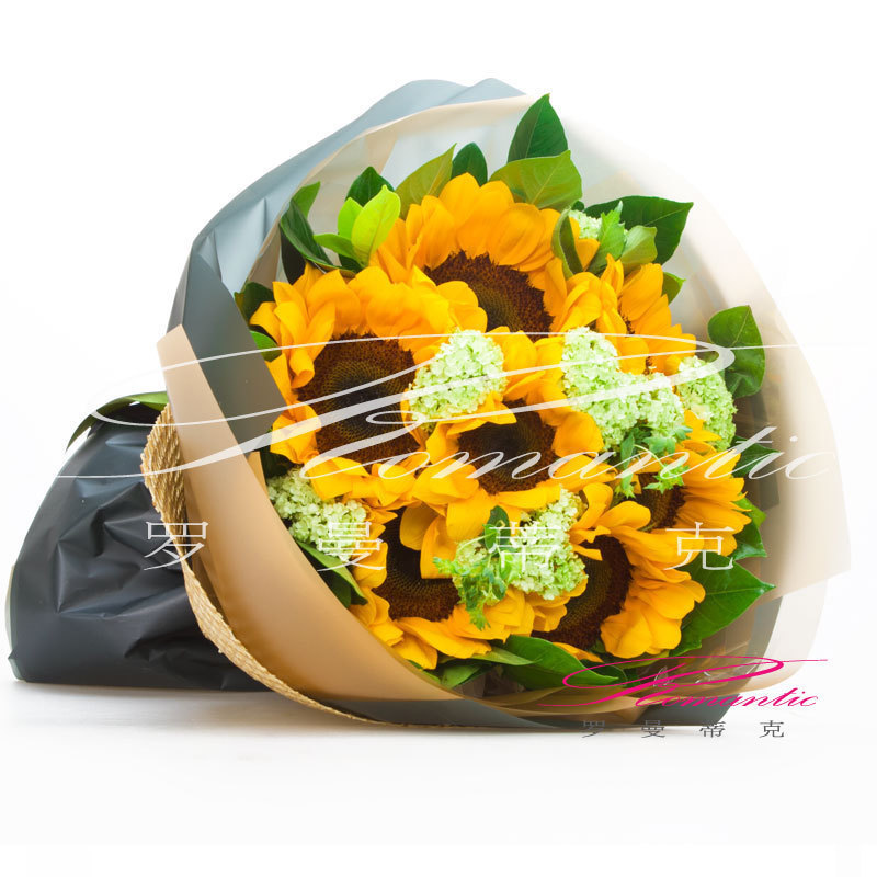 多款18枝向日葵日式清新男士生日祝福花束鮮花禮盒北京花店速遞