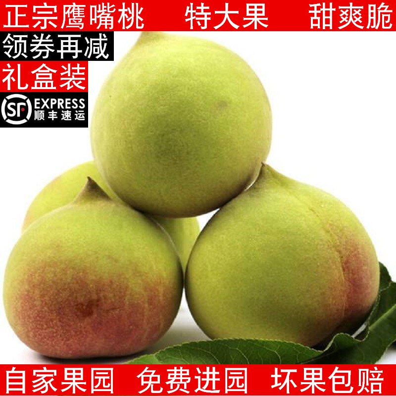 广东正宗韶关翁源农村特产鹰嘴桃10斤特大果精选礼盒装
