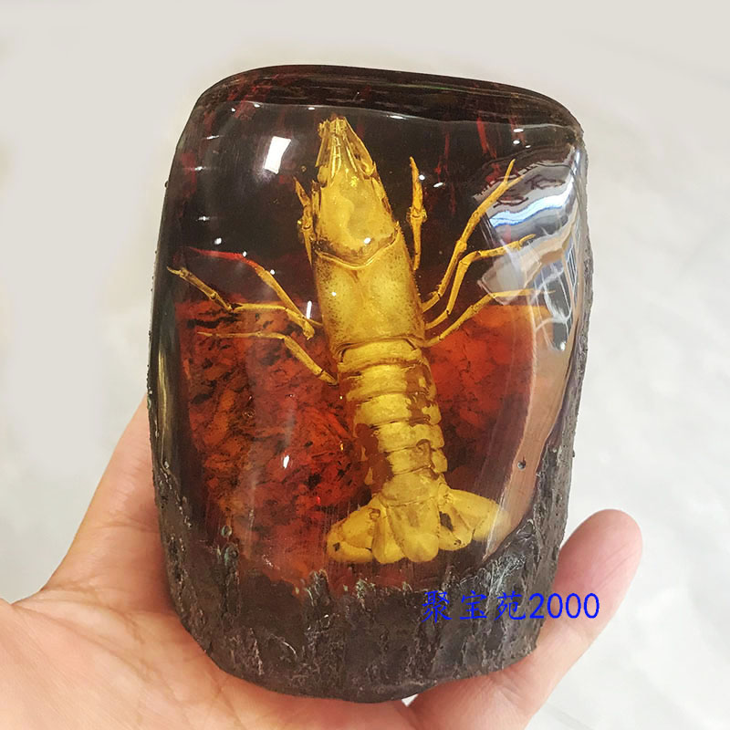 琥珀蜜蜡动物摆件仿琥珀原石龙虾摆饰真昆虫标本家居饰品虫珀树桩