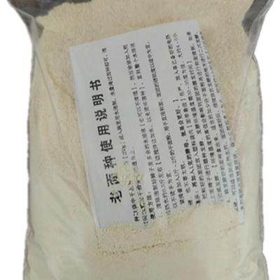 山西蒸馍专用面肥菌种蒸馍酒曲老酵子发酵专用老面头引子循环使用