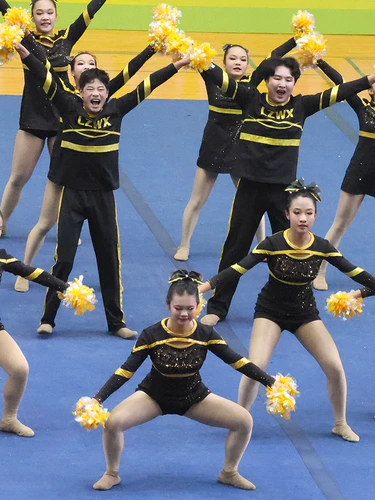 Индивидуальная одежда для черлидинга