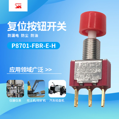 台湾 SH P8701-FBR-E-H 复位 按钮 开关 汽车 仪表 开关 包邮