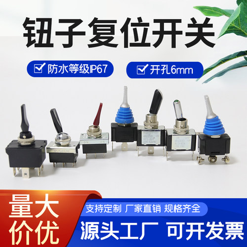 R13-54B 台湾SCI 开关   双边复位开关 20A12V