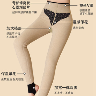 踩脚棉裤 高腰显瘦大码 打底裤 蓝玫佳黛7765加绒加厚羊毛絮片保暖裤