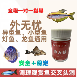 观赏鱼调理感染交叉白毛白膜异型鱼腐皮烂尾烂腮白眼胡子大帆强