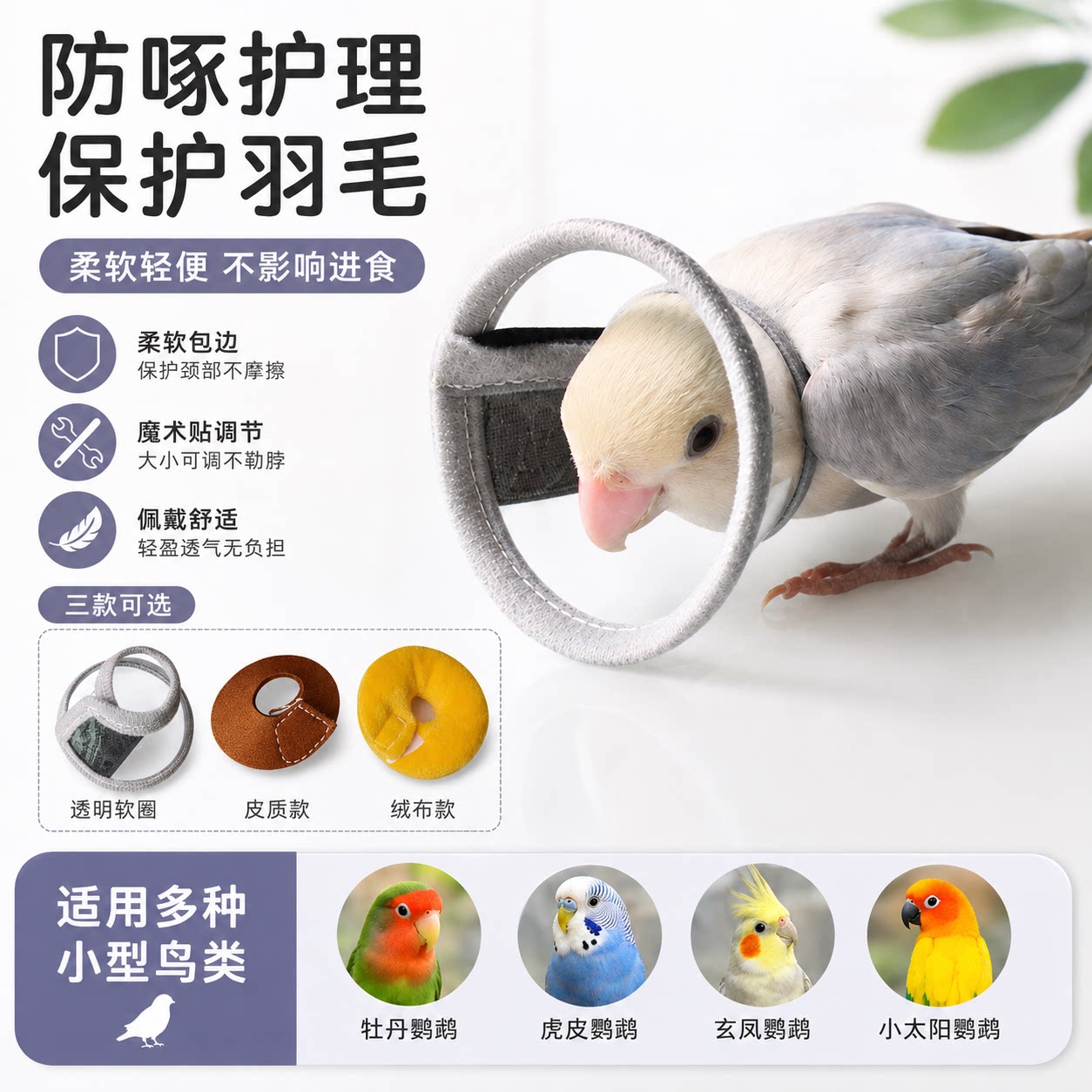 咚哇鹦鹉伊丽莎白圈防啄可飞