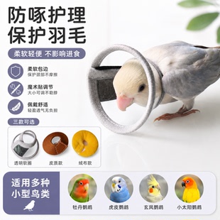 鸟用鹦鹉伊丽莎白圈虎皮玄凤围脖可飞活动防咬防啄保护项圈鸟围脖