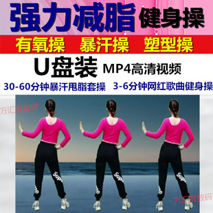零基础高清活力动感健身操流行广场舞教学保健MP4视频内存卡