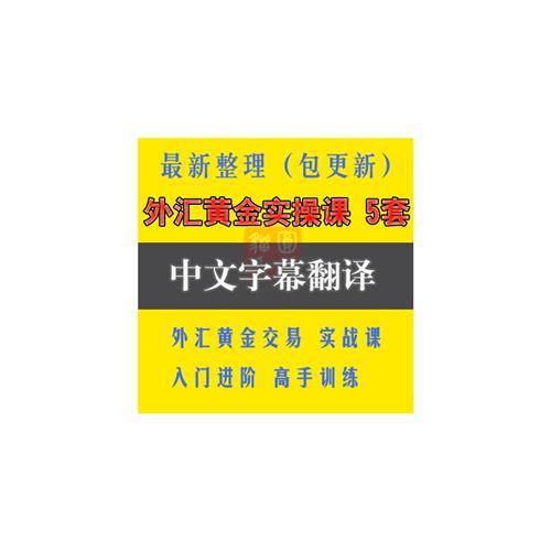 外汇黄金原t油白银恒指外汇交易入门到精通理论课程视.频教.程