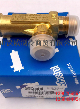 全新原装正品意大利进口 卡士妥 CASTEL 安全阀门 3060 45C240
