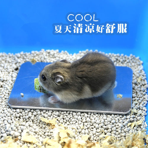 仓鼠兔子龙猫散热板消暑降温