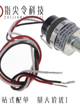 P119G-3H-C52TS-DIS/P119G-5H-C52TS-DIS/P119G-50H-C52TS-DIS