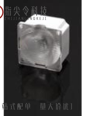 CA13688_STRADA-SQ-T3 真品