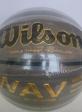 Wilson威尔胜WAVE波浪纹防尘7号室外比赛训练吸湿耐磨ENCORE篮球
