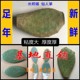 美容仙人掌盆栽外敷仙人掌种植内服 厚片墨西哥米邦塔食用仙人掌