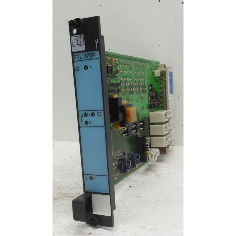 FTL 375P-F1E1, ENDRESS + HAUSER