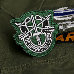 USARMY越战TCU口袋章M65风衣臂章GO107徽章绿贝雷SF胸章军迷帽徽