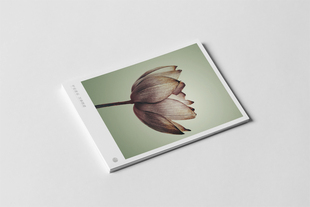 kp294荷韵三联高清节日售后感谢邀请随写商务通用贺卡明信片生日