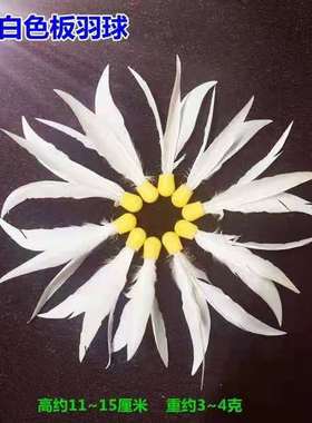 【20只装】白毛板羽球三毛球毽子毽球白色羽毛乒羽球室内室外