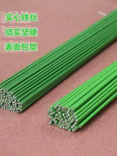 Зеленая железная линия железной линии лазание виноградные растения с металлами -орхидами.